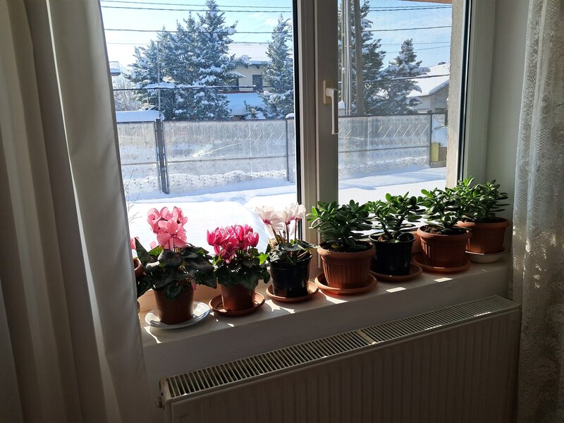 Otopeni, Vila Smarald spatioasa curte generoasa, panouri fotovoltaice