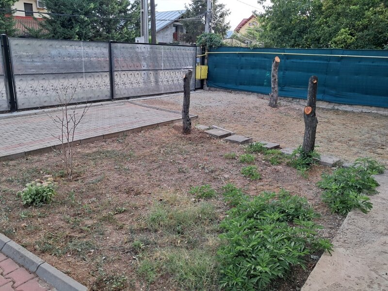 Otopeni, Vila Smarald spatioasa curte generoasa, panouri fotovoltaice